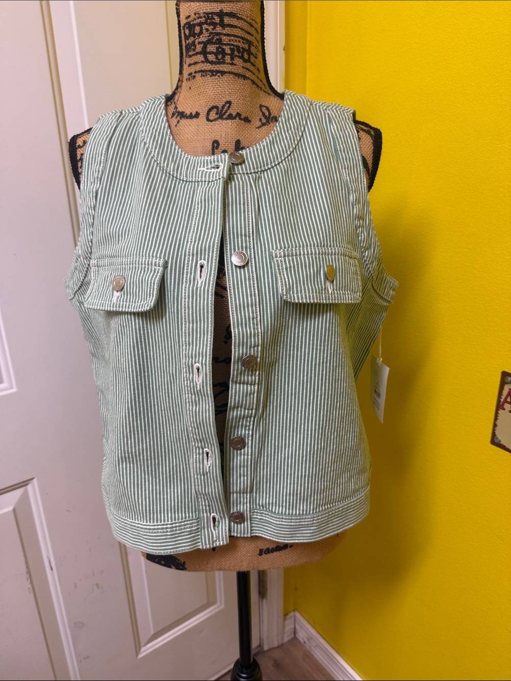 Striped Green Button-Front Sleeveless Shirt Vest